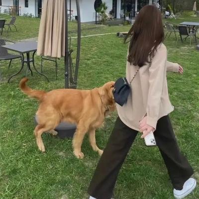 铁汉艳姬